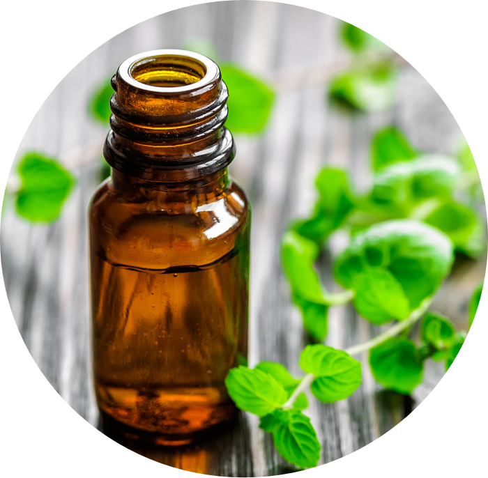 Peppermint Inhaler Oil